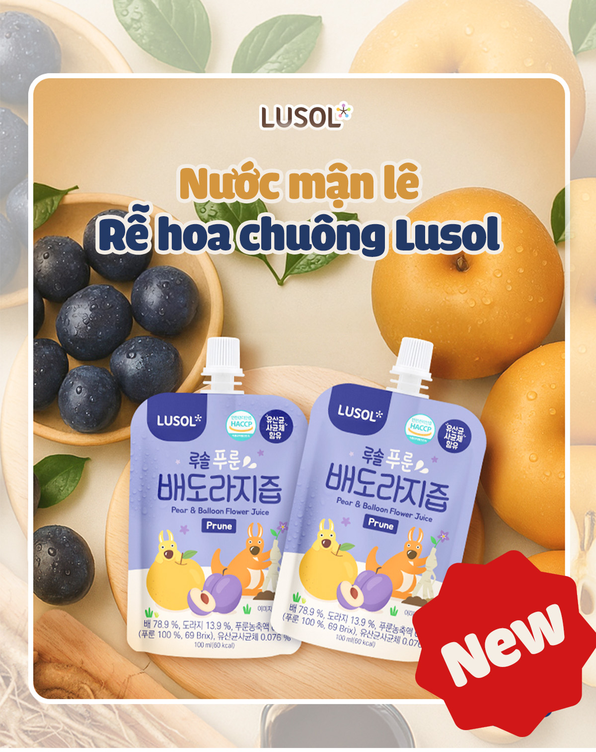 Nước mận lê rễ hoa chuông Lusol