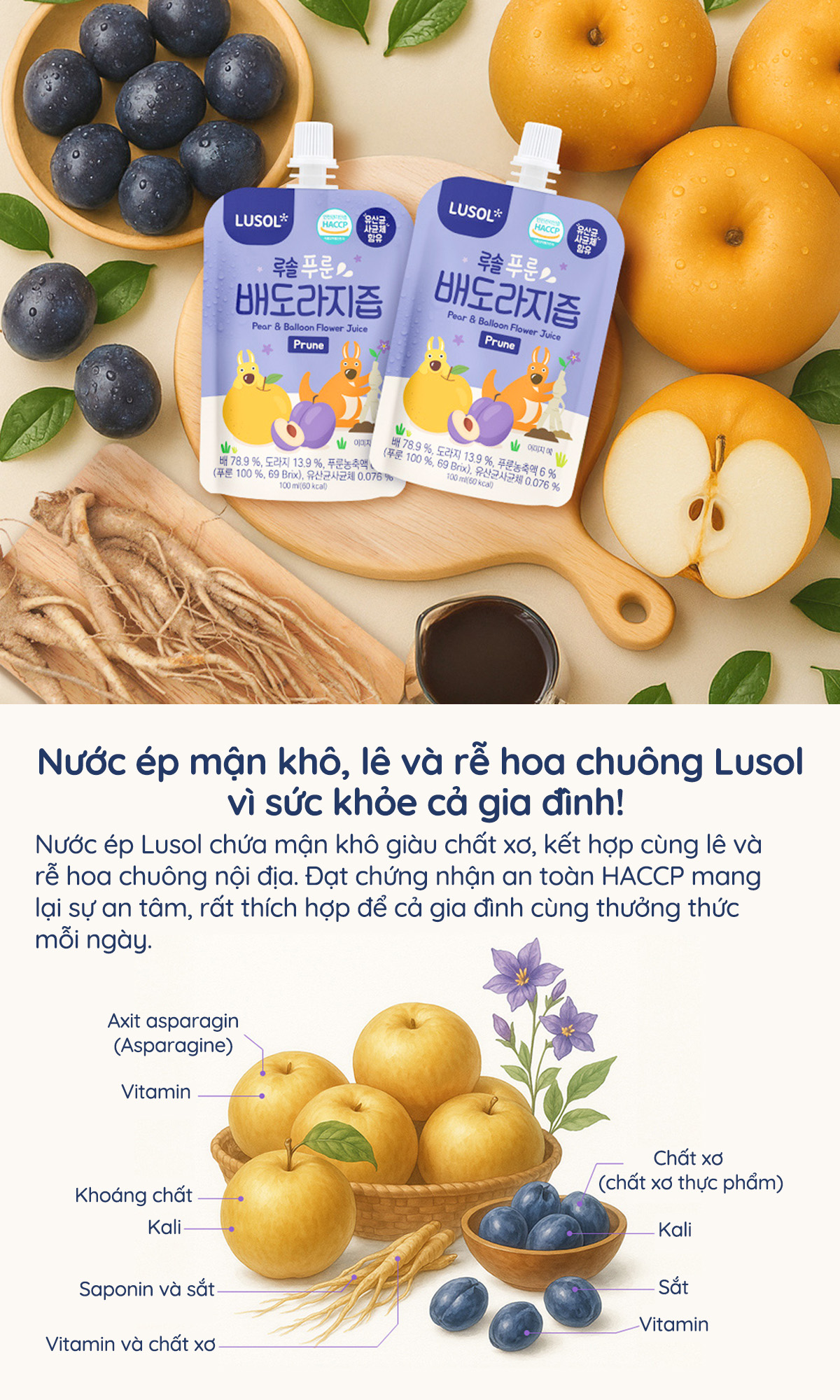Nước mận lê rễ hoa chuông Lusol
